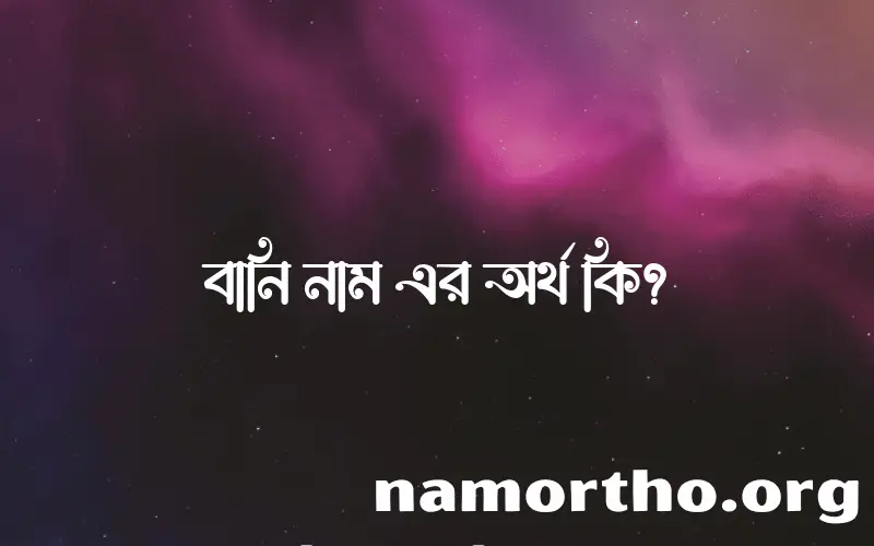 বানি নামের অর্থ কি? বানি নামের ইসলামিক অর্থ এবং বিস্তারিত তথ্য সমূহ