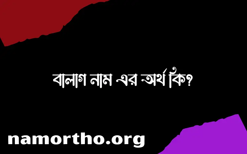 বালাগ নামের বাংলা আরবি ইসলামিক অর্থ কি?