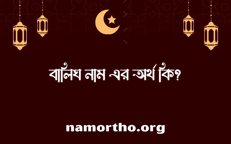 বালিঘ নামের অর্থ কি? বালিঘ নামের বাংলা, আরবি/ইসলামিক অর্থসমূহ