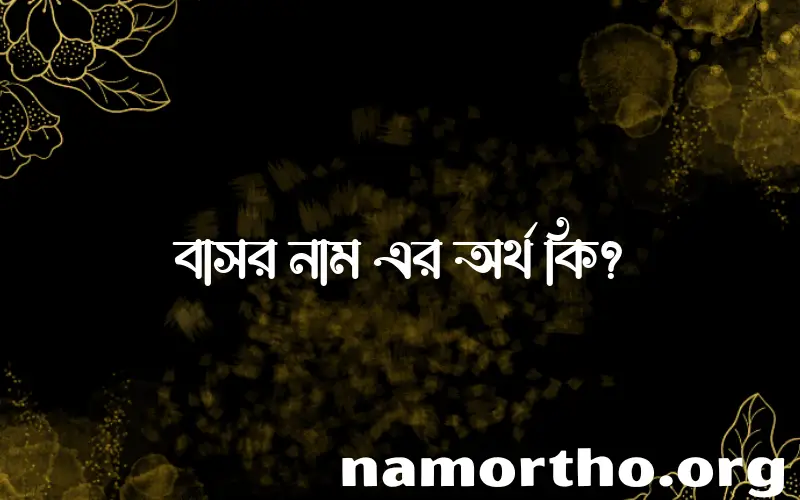 বাসর নামের অর্থ কি? বাসর নামের বাংলা, আরবি/ইসলামিক অর্থসমূহ