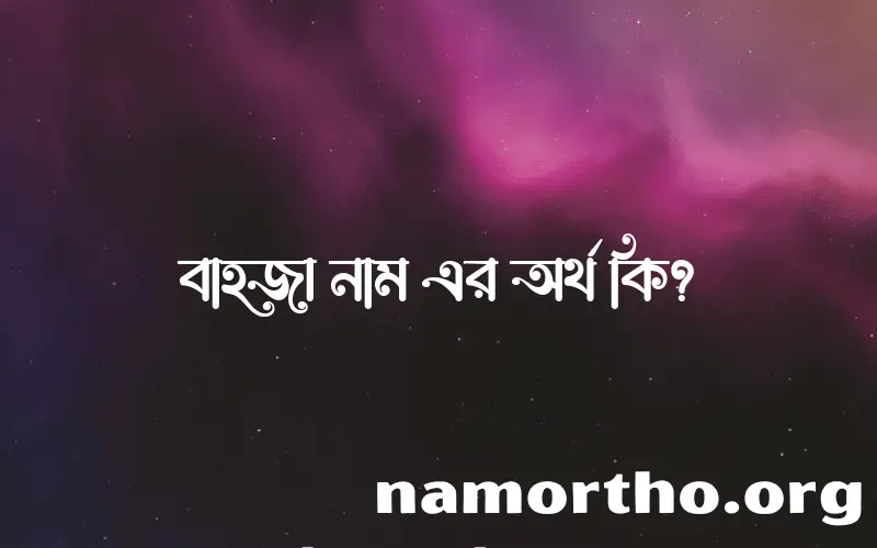 বাহজা নামের বাংলা আরবি ইসলামিক অর্থ কি?