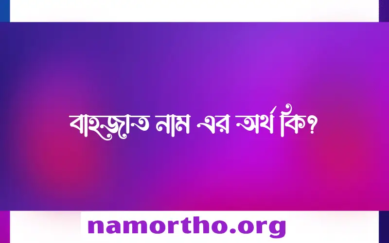 বাহজাত নামের অর্থ কি? (ব্যাখ্যা ও বিশ্লেষণ) জানুন