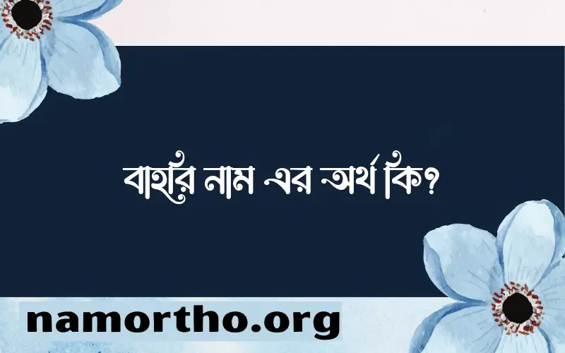 বাহরি নামের অর্থ কি? বাহরি নামের বাংলা, আরবি/ইসলামিক অর্থসমূহ