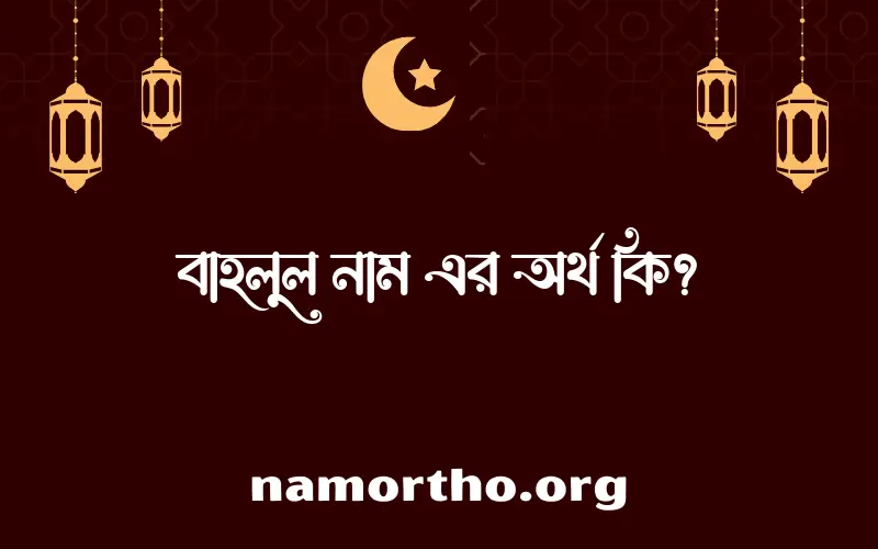 বাহলুল নামের অর্থ কি এবং ইসলাম কি বলে? (বিস্তারিত)