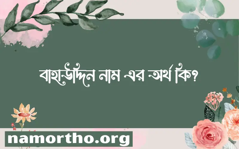 বাহাউদ্দিন নামের অর্থ কি? বাহাউদ্দিন নামের বাংলা, আরবি/ইসলামিক অর্থসমূহ