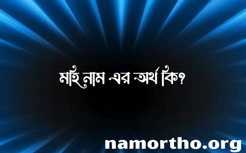 মহি নামের আর্থ কি?