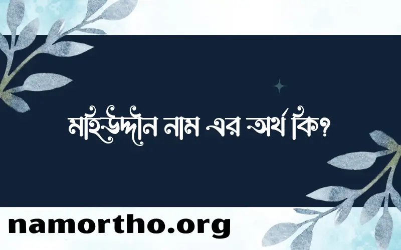 মহিউদ্দীন নামের অর্থ কি? মহিউদ্দীন নামের বাংলা, আরবি/ইসলামিক অর্থসমূহ