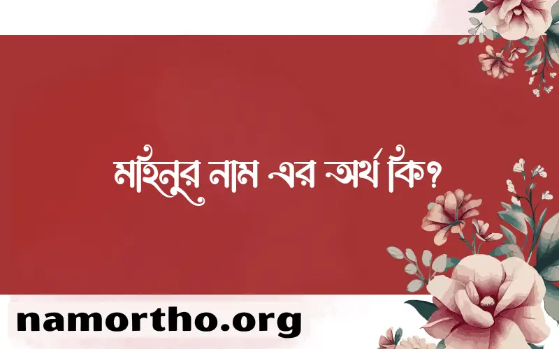 মহিনুর নামের আর্থ কি?