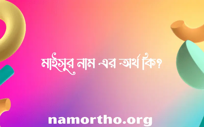 মাইসুর নামের আর্থ কি?