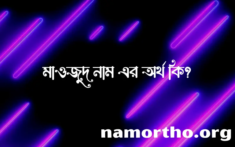 মাওজুদ নামের আর্থ কি?