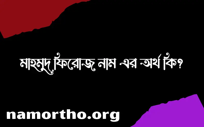 মাহমুদ ফিরোজ নামের আর্থ কি?