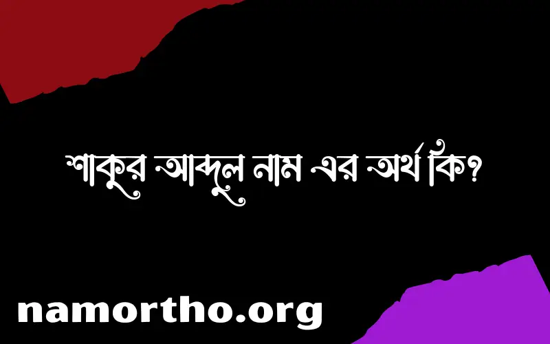 শাকুর আব্দুল নামের অর্থ কি? শাকুর আব্দুল নামের ইসলামিক অর্থ এবং বিস্তারিত তথ্য সমূহ