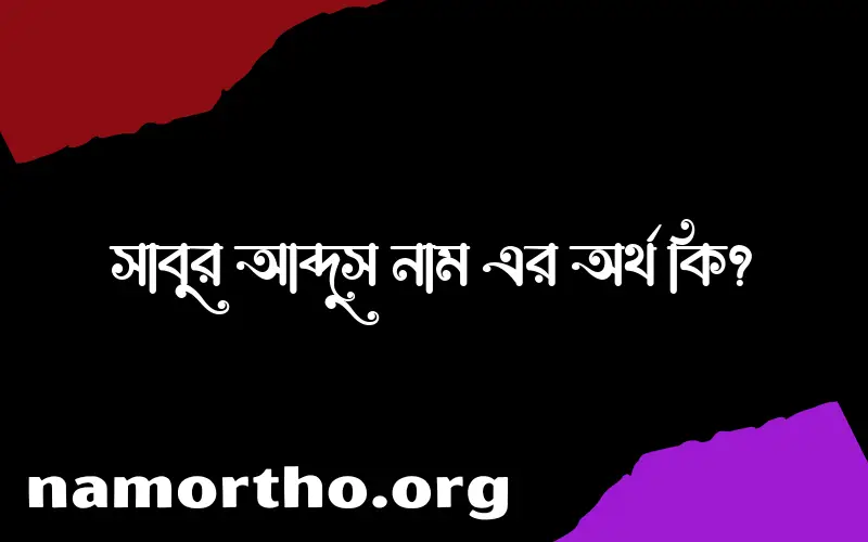 সাবুর আব্দুস নামের অর্থ কি? সাবুর আব্দুস নামের বাংলা, আরবি/ইসলামিক অর্থসমূহ