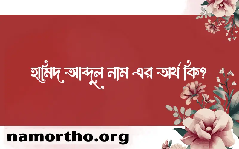 হামিদ আব্দুল নামের অর্থ কি, ইসলামিক আরবি এবং বাংলা অর্থ জানুন