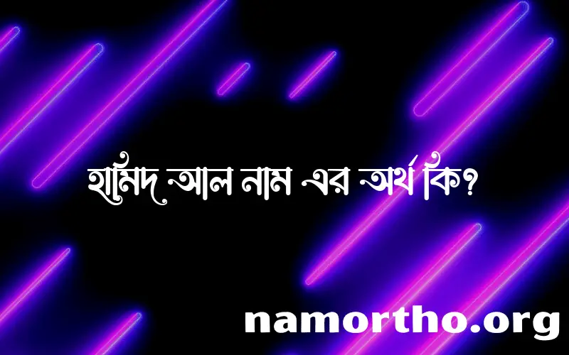 হামিদ আল নামের অর্থ কি? হামিদ আল নামের বাংলা, আরবি/ইসলামিক অর্থসমূহ