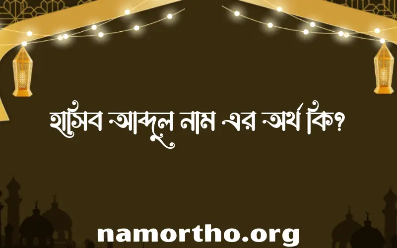 হাসিব আব্দুল নামের অর্থ কি? হাসিব আব্দুল নামের ইসলামিক অর্থ এবং বিস্তারিত তথ্য সমূহ